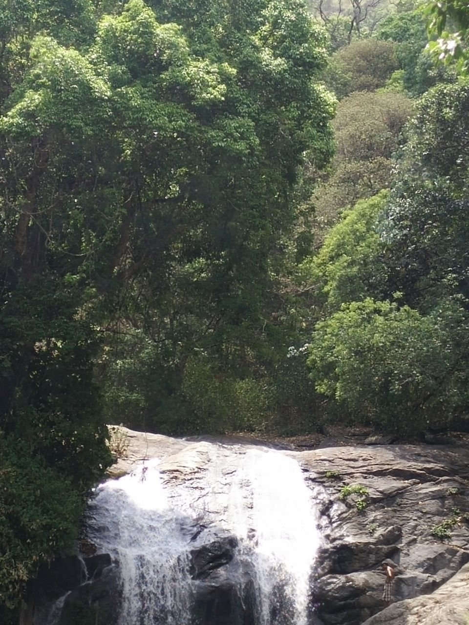 Photo of Green town! #DestinationSouth 14/15 by Swati Singh