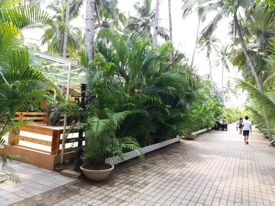 Photo of Skip North Goa and Enjoy Tranquility at These Surprisingly Cheap Beach-Facing Cottages in South Goa by Swati Singh