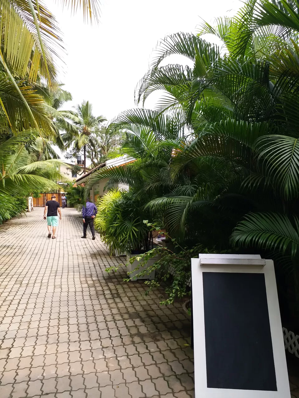 Photo of Skip North Goa and Enjoy Tranquility at These Surprisingly Cheap Beach-Facing Cottages in South Goa by Swati Singh