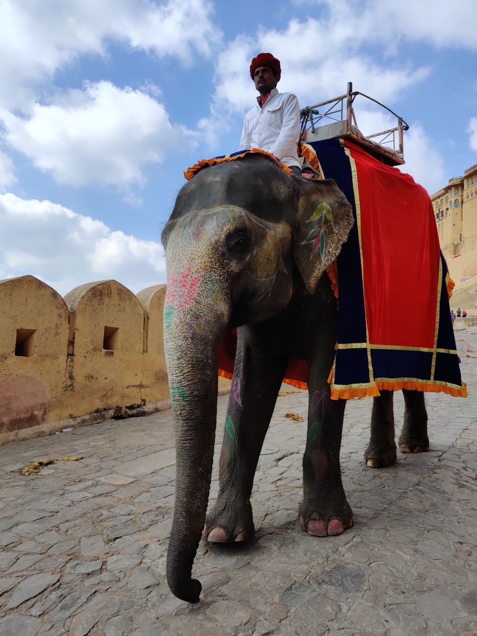 Photo of Amer Fort Jaipur, Devisinghpura, Amer, Jaipur, Rajasthan, India by Amruta Gadgil