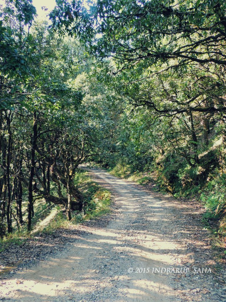 Photo of Kumaon (Uttarakhand): A visual journey through Nainital-Binsar-Munsiyari-Chaukori-Mukteshwar by Indrarup Saha