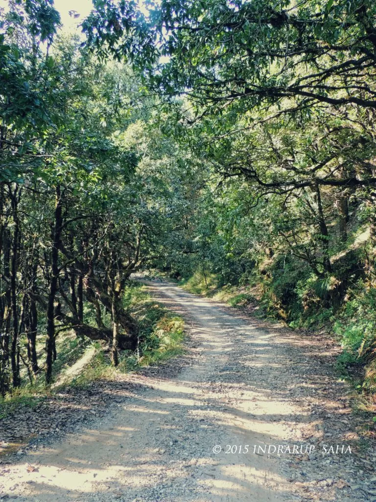 Photo of Kumaon (Uttarakhand): A visual journey through Nainital-Binsar-Munsiyari-Chaukori-Mukteshwar by Indrarup Saha