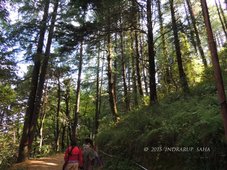 Photo of Kumaon (Uttarakhand): A visual journey through Nainital-Binsar-Munsiyari-Chaukori-Mukteshwar by Indrarup Saha