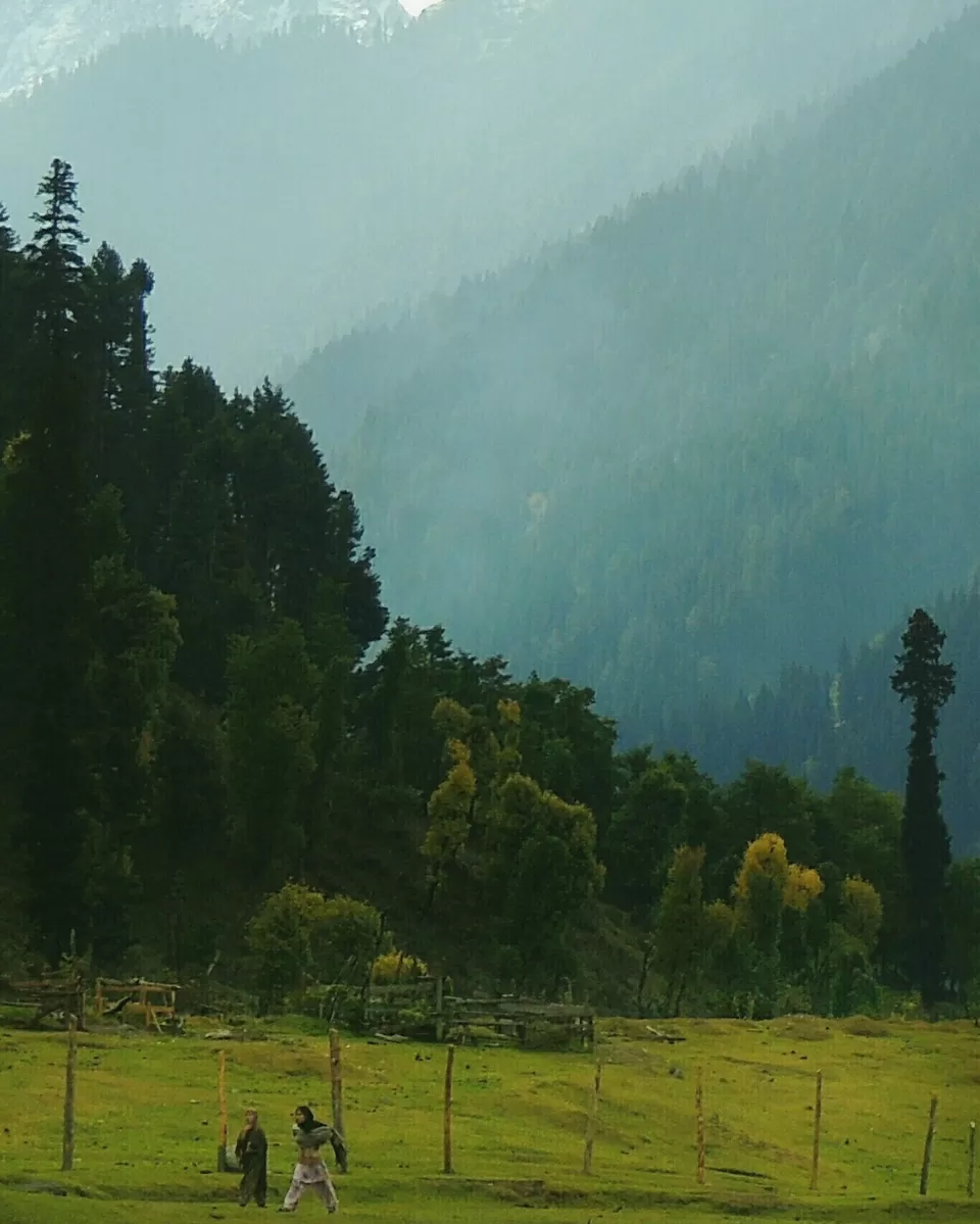 Photo of Aru Vally, Pahalgam by Indrarup Saha