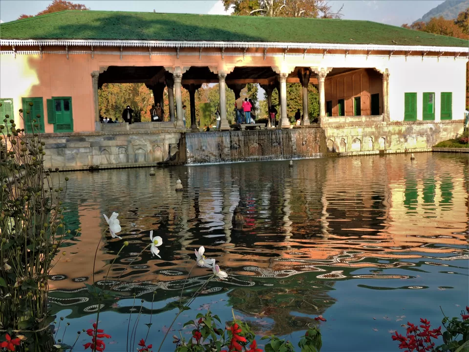 Photo of Nishat Garden, Srinagar by Indrarup Saha
