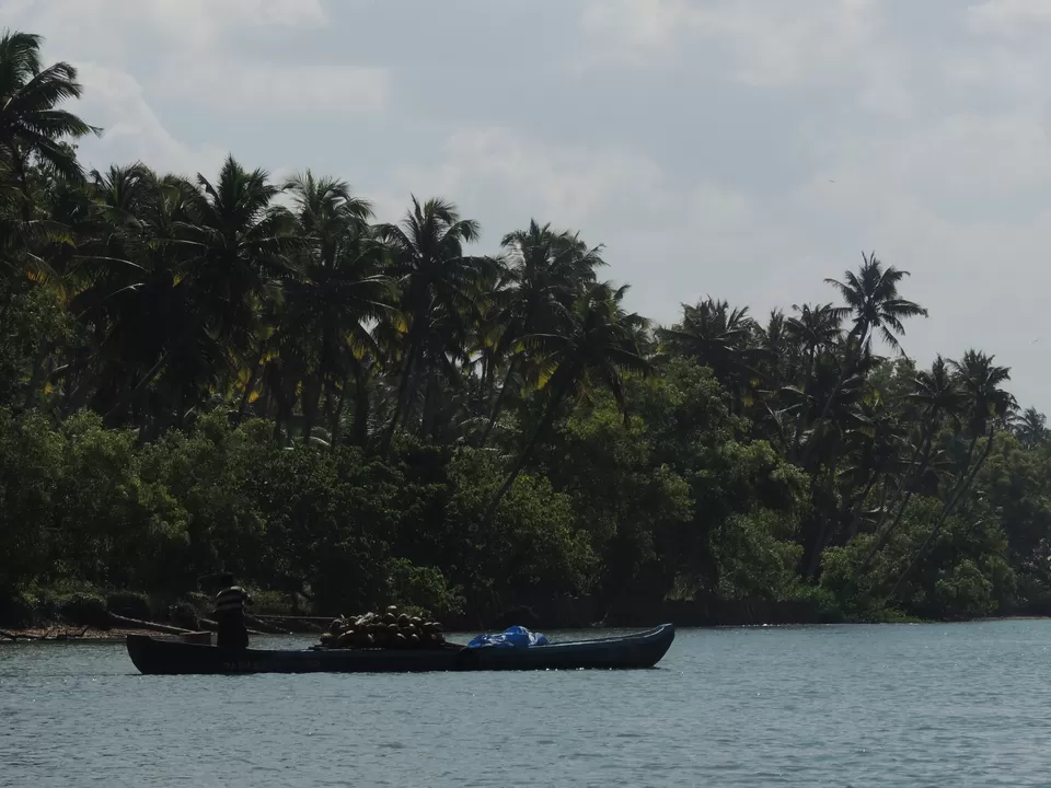 Photo of Poovar, Kerala, India by Indrarup Saha