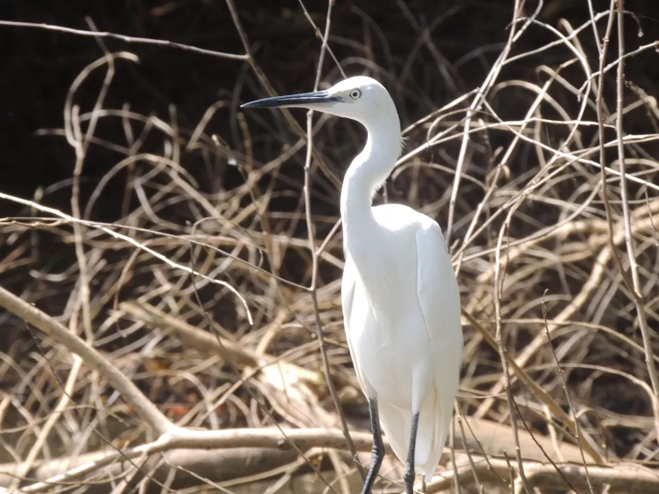 Photo of Poovar, Kerala, India by Indrarup Saha
