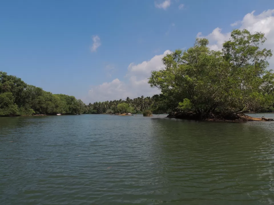Photo of Poovar, Kerala, India by Indrarup Saha