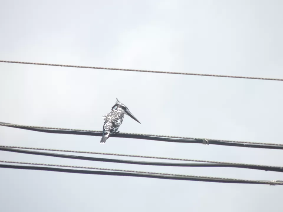 Photo of Poovar, Kerala, India by Indrarup Saha
