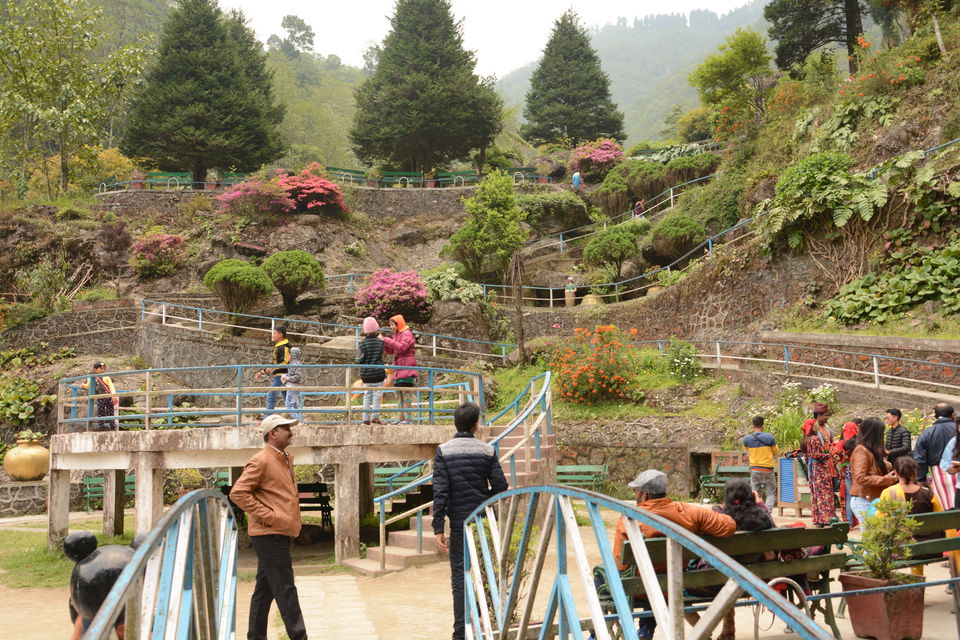 Photo of Darjeeling - an awesome customized 4D/3N tour by Indrarup Saha