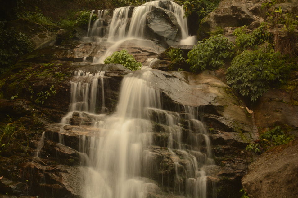 Photo of Darjeeling - an awesome customized 4D/3N tour by Indrarup Saha