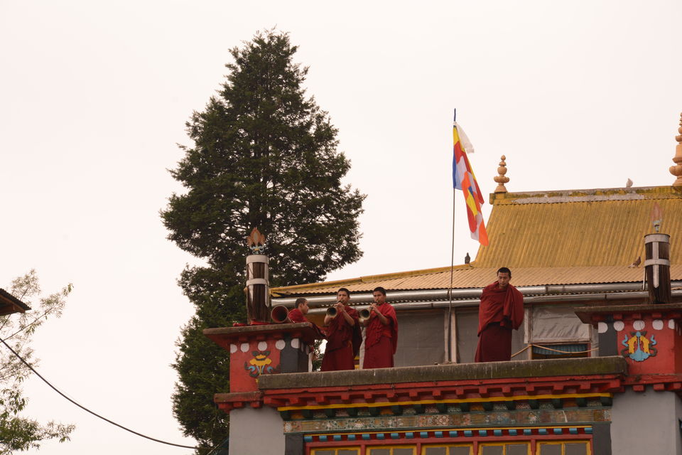 Photo of Darjeeling - an awesome customized 4D/3N tour by Indrarup Saha