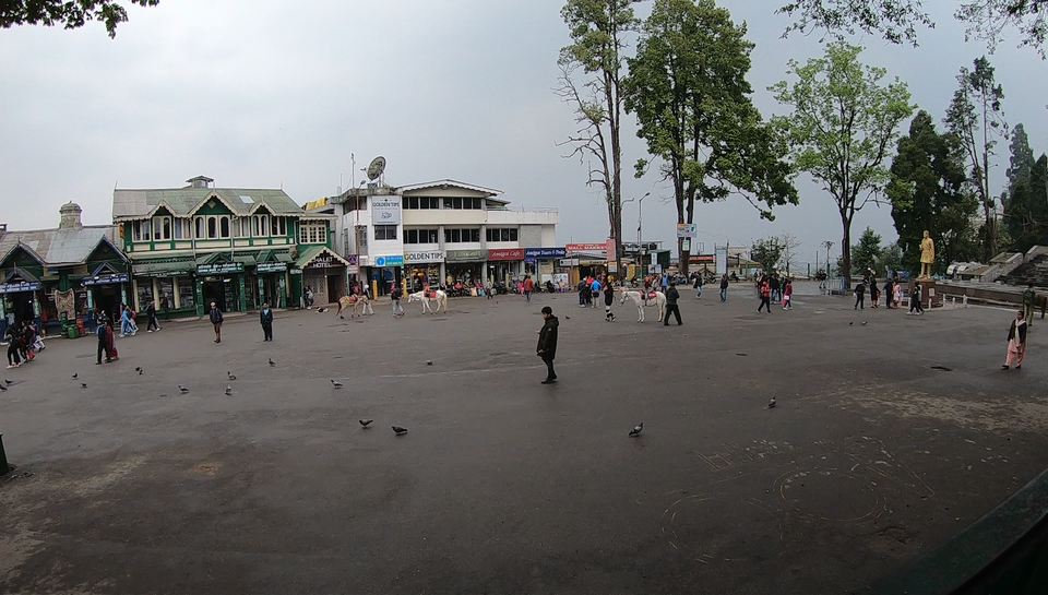 Photo of Darjeeling - an awesome customized 4D/3N tour by Indrarup Saha