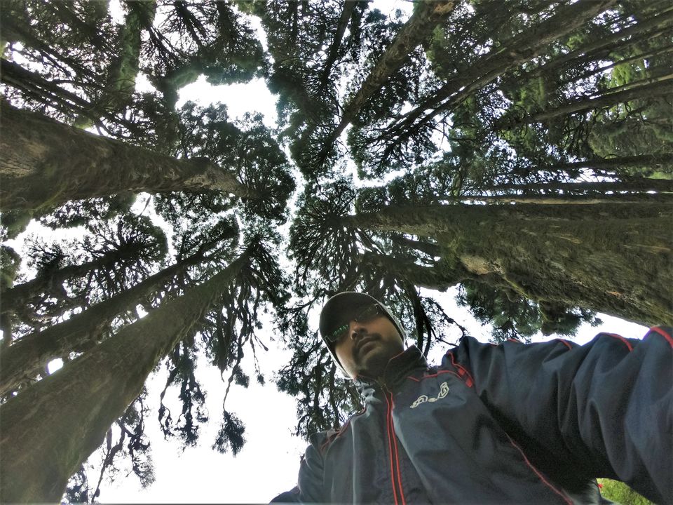 Photo of Darjeeling - an awesome customized 4D/3N tour by Indrarup Saha