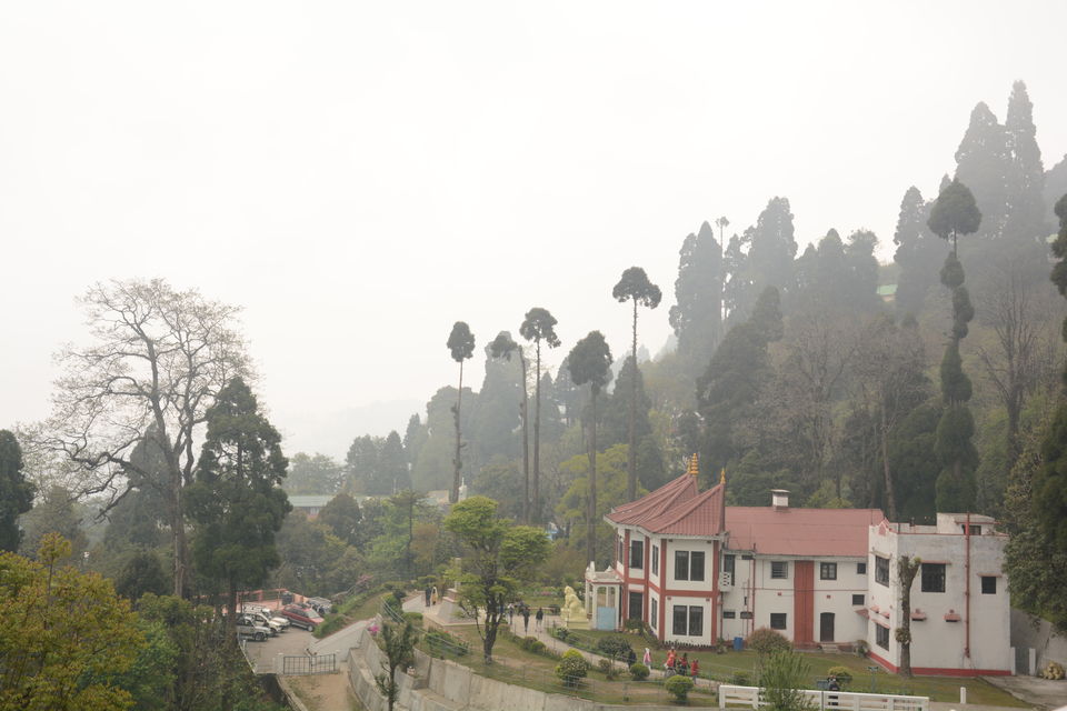 Photo of Darjeeling - an awesome customized 4D/3N tour by Indrarup Saha