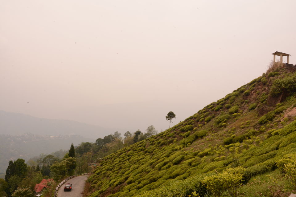 Photo of Darjeeling - an awesome customized 4D/3N tour by Indrarup Saha