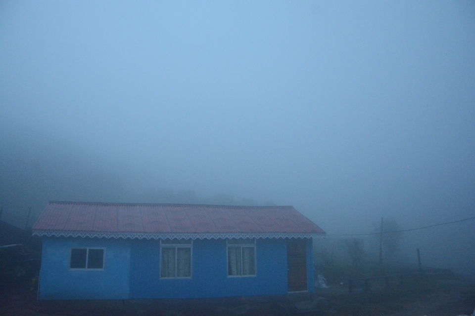 Photo of Chitrey, Mangber Forest, West Bengal, India by Indrarup Saha