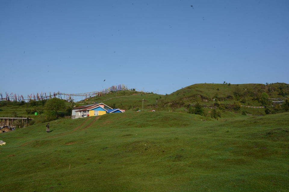 Photo of Sandakphu - 5D/4N Land Rover trip to the highest point of West Bengal by Indrarup Saha