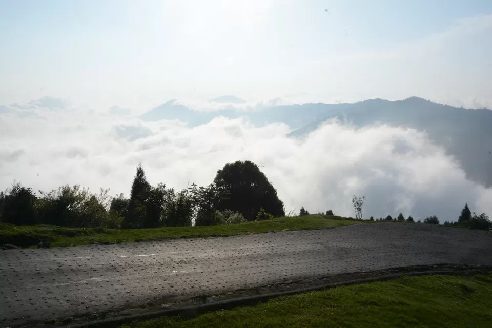 Photo of Sandakphu - 5D/4N Land Rover trip to the highest point of West Bengal by Indrarup Saha