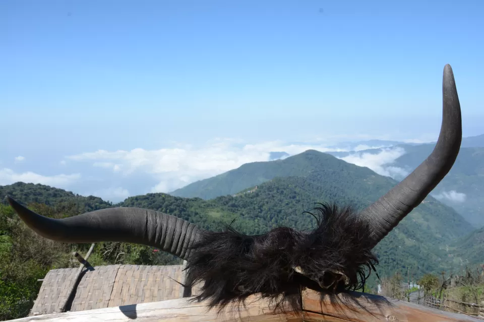 Photo of Sandakphu - 5D/4N Land Rover trip to the highest point of West Bengal by Indrarup Saha