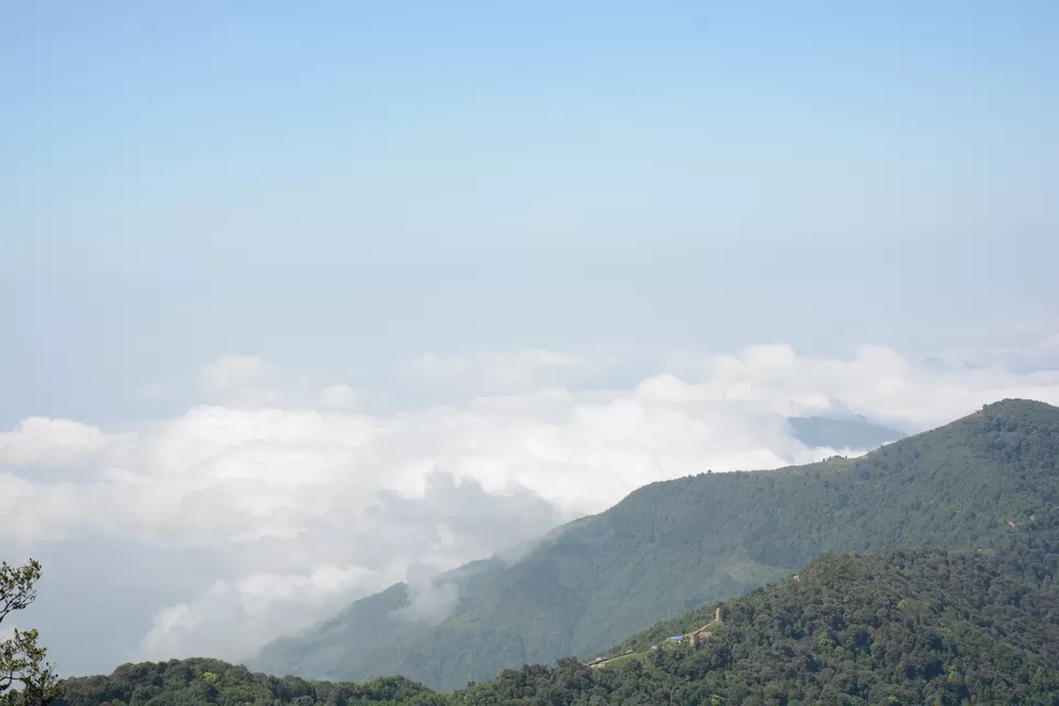Photo of Sandakphu - 5D/4N Land Rover trip to the highest point of West Bengal by Indrarup Saha