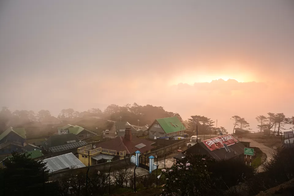 Photo of Sandakphu - 5D/4N Land Rover trip to the highest point of West Bengal by Indrarup Saha