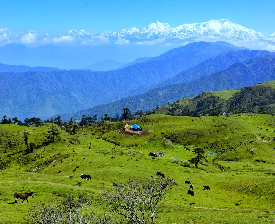 Photo of Sandakphu - 5D/4N Land Rover trip to the highest point of West Bengal by Indrarup Saha