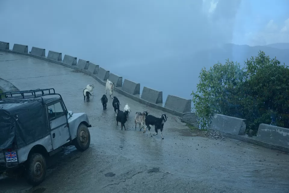 Photo of Sandakphu - 5D/4N Land Rover trip to the highest point of West Bengal by Indrarup Saha