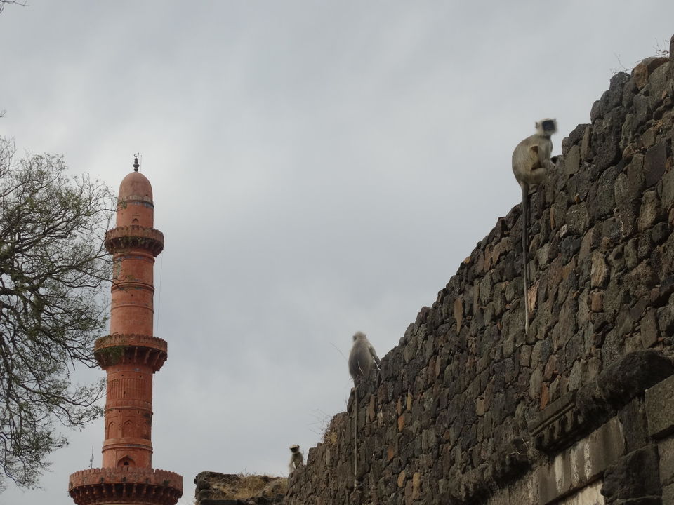 Photo of Exploring Ajanta, Ellora and nearby surprises 2/9 by Nishant Shankar