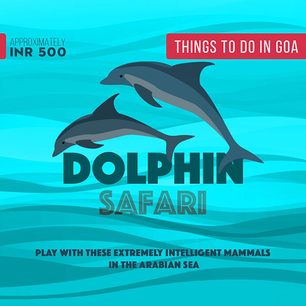 Photo of Volleyball In Snow, Dolphin Safari And Other Surprising Adventures You Can Have In Goa 2/5 by Vidisha Pandey