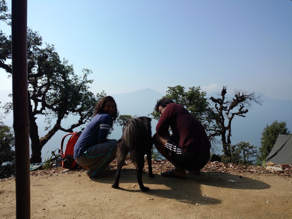 Photo of Roadtrip through the mountains of Uttarakhand 5/13 by Janhavi Mane