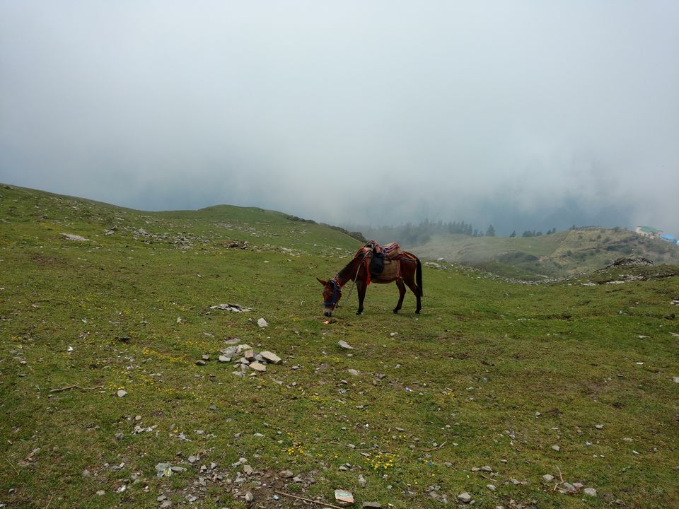Photo of Roadtrip through the mountains of Uttarakhand 7/13 by Janhavi Mane