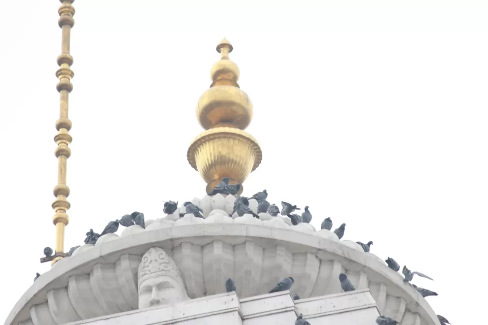 Photo of Jaipur, Rajasthan, India by Shreya Guha