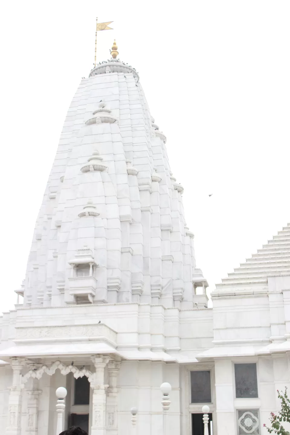 Photo of Jaipur, Rajasthan, India by Shreya Guha