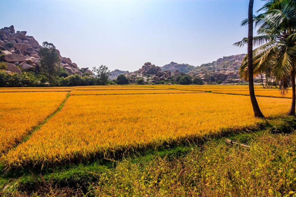 Photo of 10 Things to do while in Hampi by Nomadic Joy