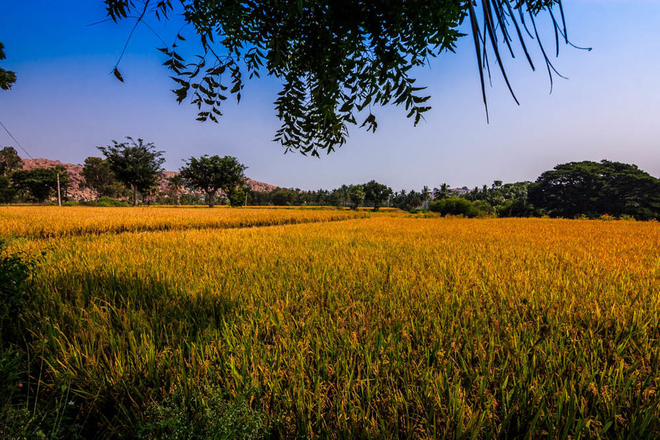 Photo of 10 Things to do while in Hampi by Nomadic Joy