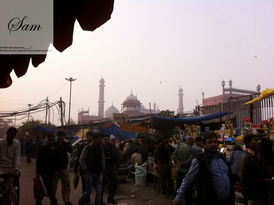 Photo of Delhi 6 Trip to jama-masjid 5/38 by Shambavi Ganju