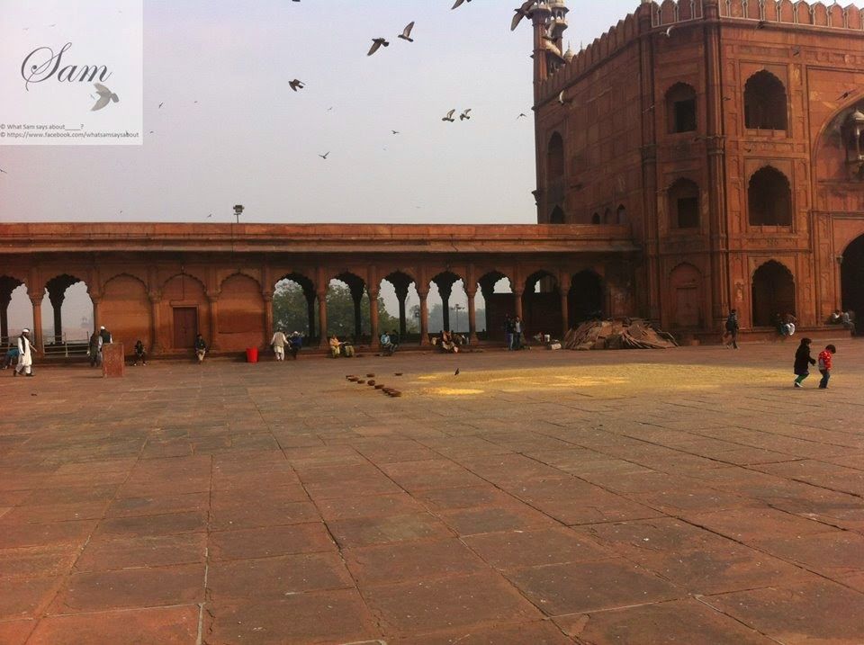 Photo of Delhi 6 Trip to jama-masjid 14/38 by Shambavi Ganju