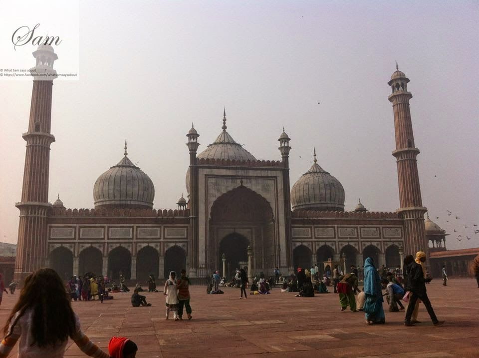 Photo of Delhi 6 Trip to jama-masjid 30/38 by Shambavi Ganju