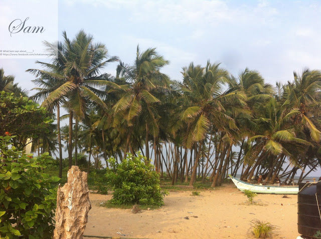 Photo of Pondicherry - Sam's comprehensive travel guide 7/29 by Shambavi Ganju