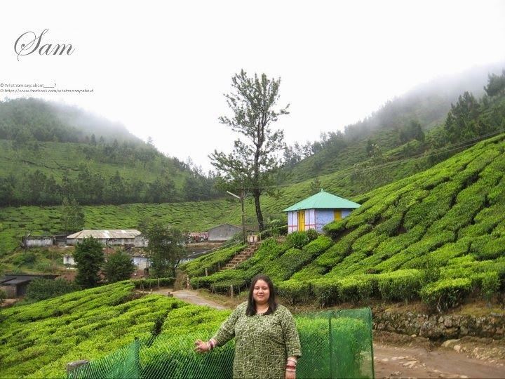 Photo of Sam's Kerala Travel Diary 1/22 by Shambavi Ganju