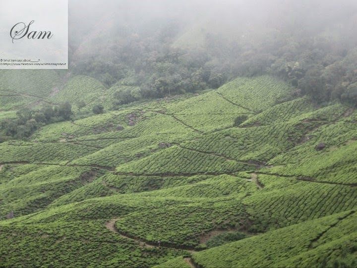 Photo of Sam's Kerala Travel Diary 12/22 by Shambavi Ganju
