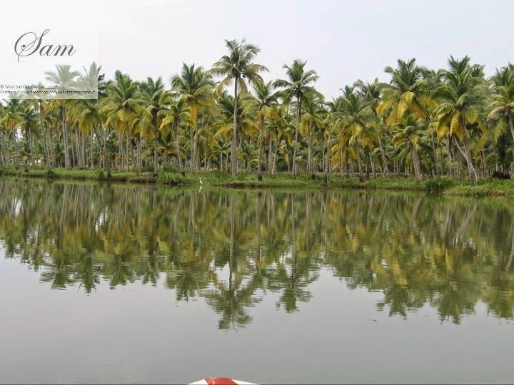 Photo of Sam's Kerala Travel Diary 17/22 by Shambavi Ganju