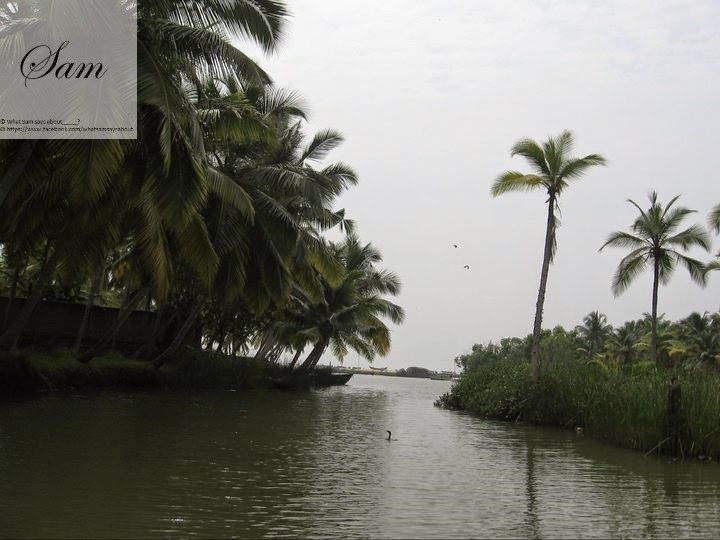 Photo of Sam's Kerala Travel Diary 22/22 by Shambavi Ganju