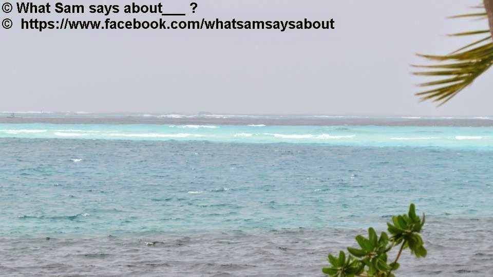 Photo of Sam's Maldives Travel Guide 14/29 by Shambavi Ganju
