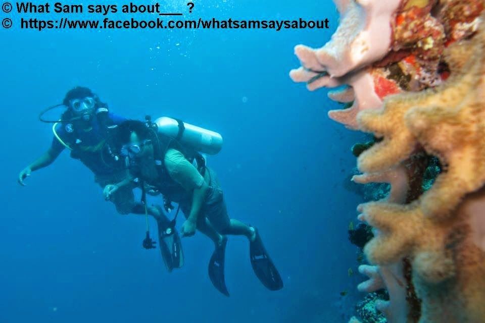Photo of Sam's Maldives Travel Guide 17/29 by Shambavi Ganju