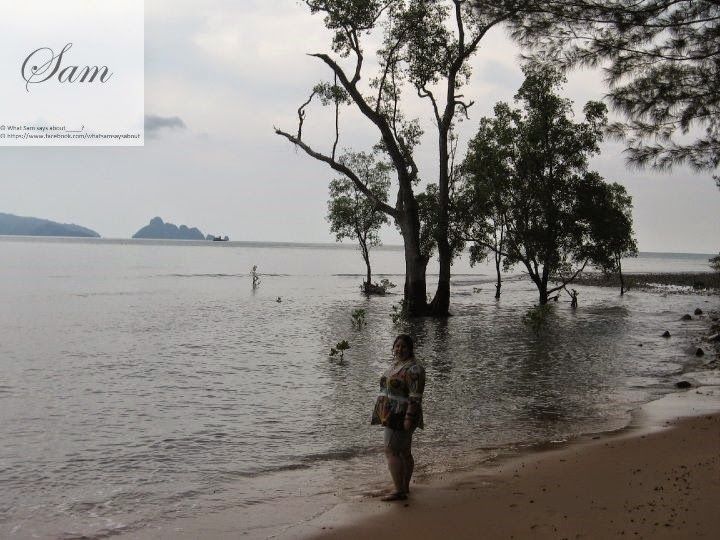 Photo of Langkawi - A Travel Guide to the Perfect Honeymoon Destination 10/40 by Shambavi Ganju