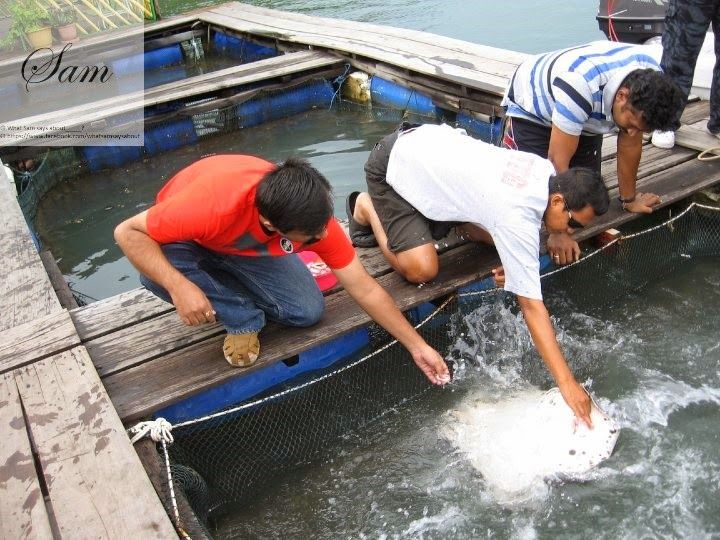 Photo of Langkawi - A Travel Guide to the Perfect Honeymoon Destination 17/40 by Shambavi Ganju