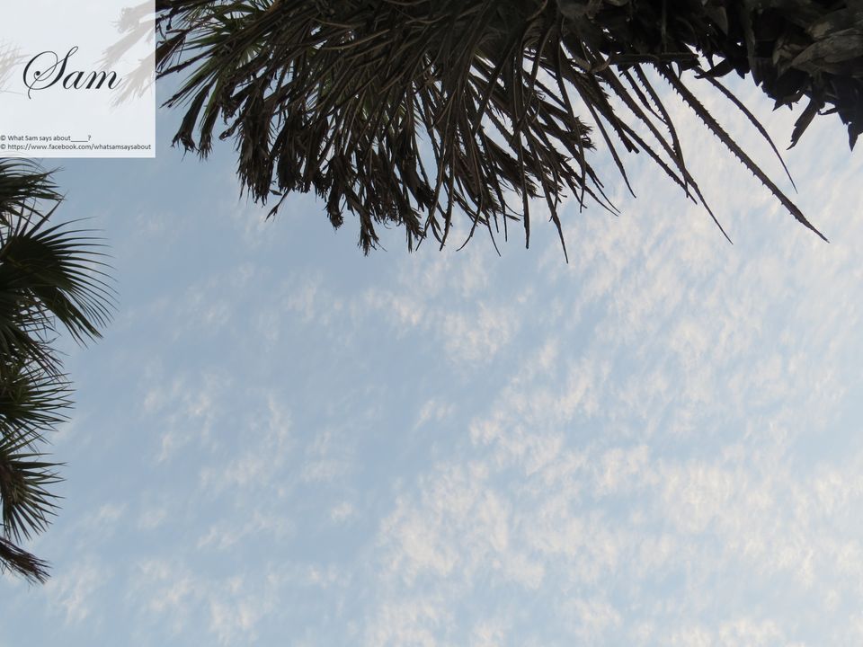 Photo of Forget Goa - Do the Diu - My Photo and travelogue 30/37 by Shambavi Ganju