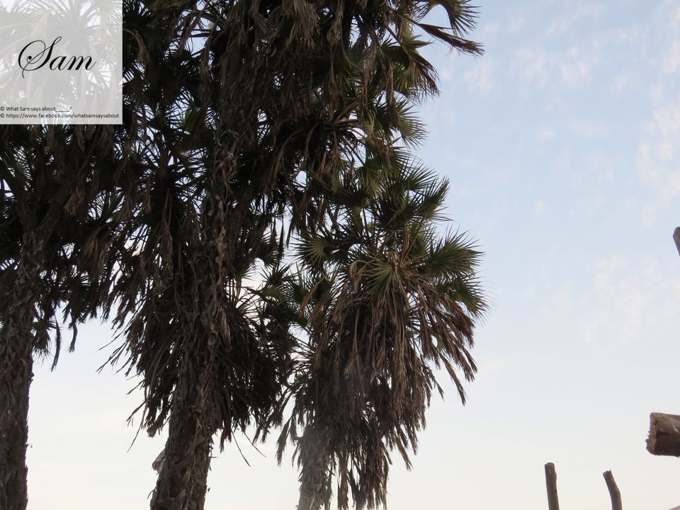 Photo of Forget Goa - Do the Diu - My Photo and travelogue 34/37 by Shambavi Ganju